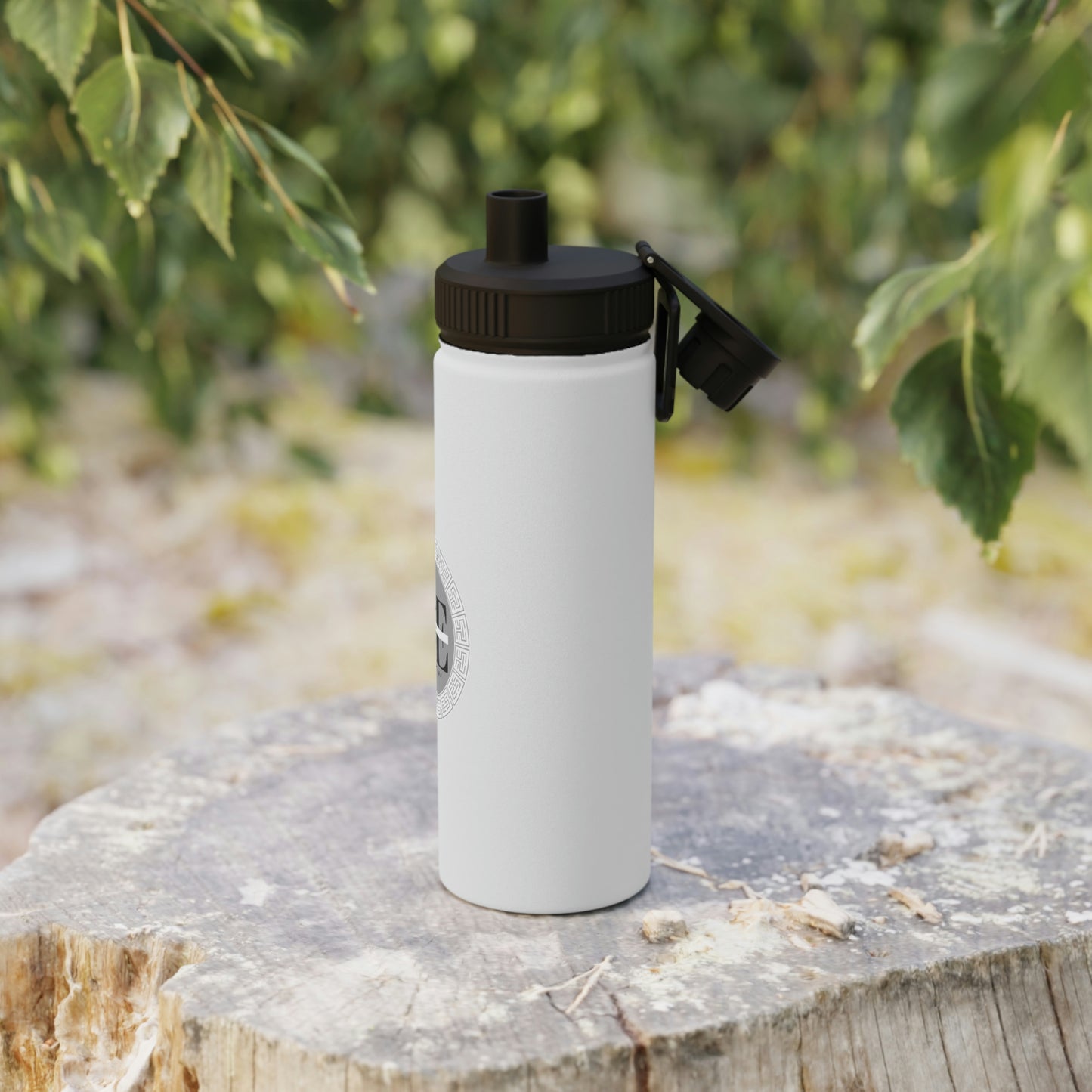 Stainless Steel Water Bottle, Sports Lid